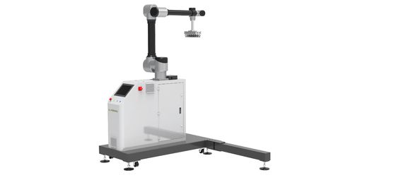 ロボット製パレット化 WP-20 中国産工業ロボット 30KG ソリューションプロバイダー