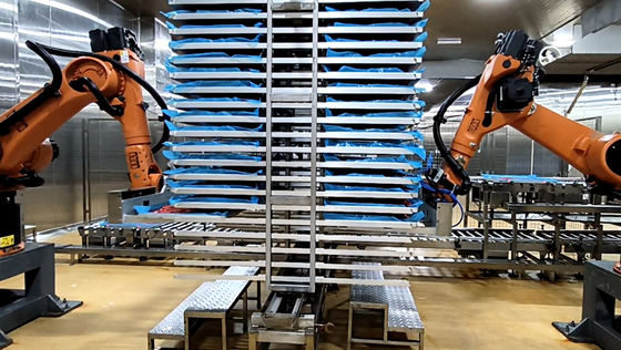 パレットロボット 食品技術 KUKA KR60-3 産業用ロボットセル